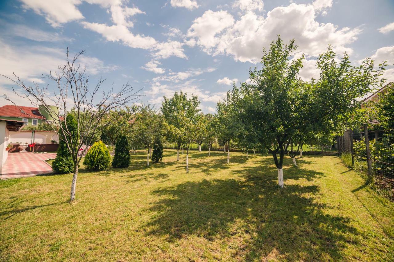 G.Eag - Premium Apartment Oradea Εξωτερικό φωτογραφία